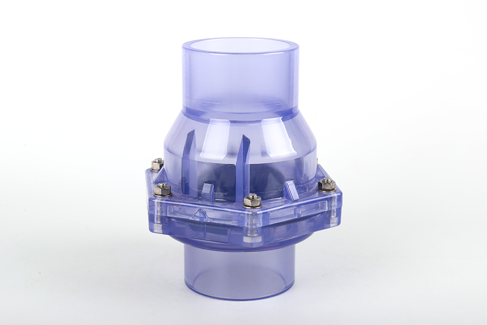 安乡透明翻板式止回阀